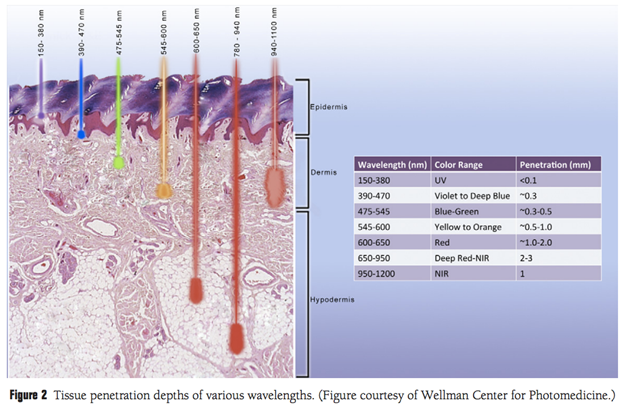 science of light therapy 